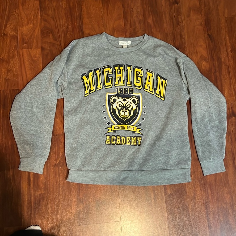 size large birch and stone grey Michigan graphic crewneck